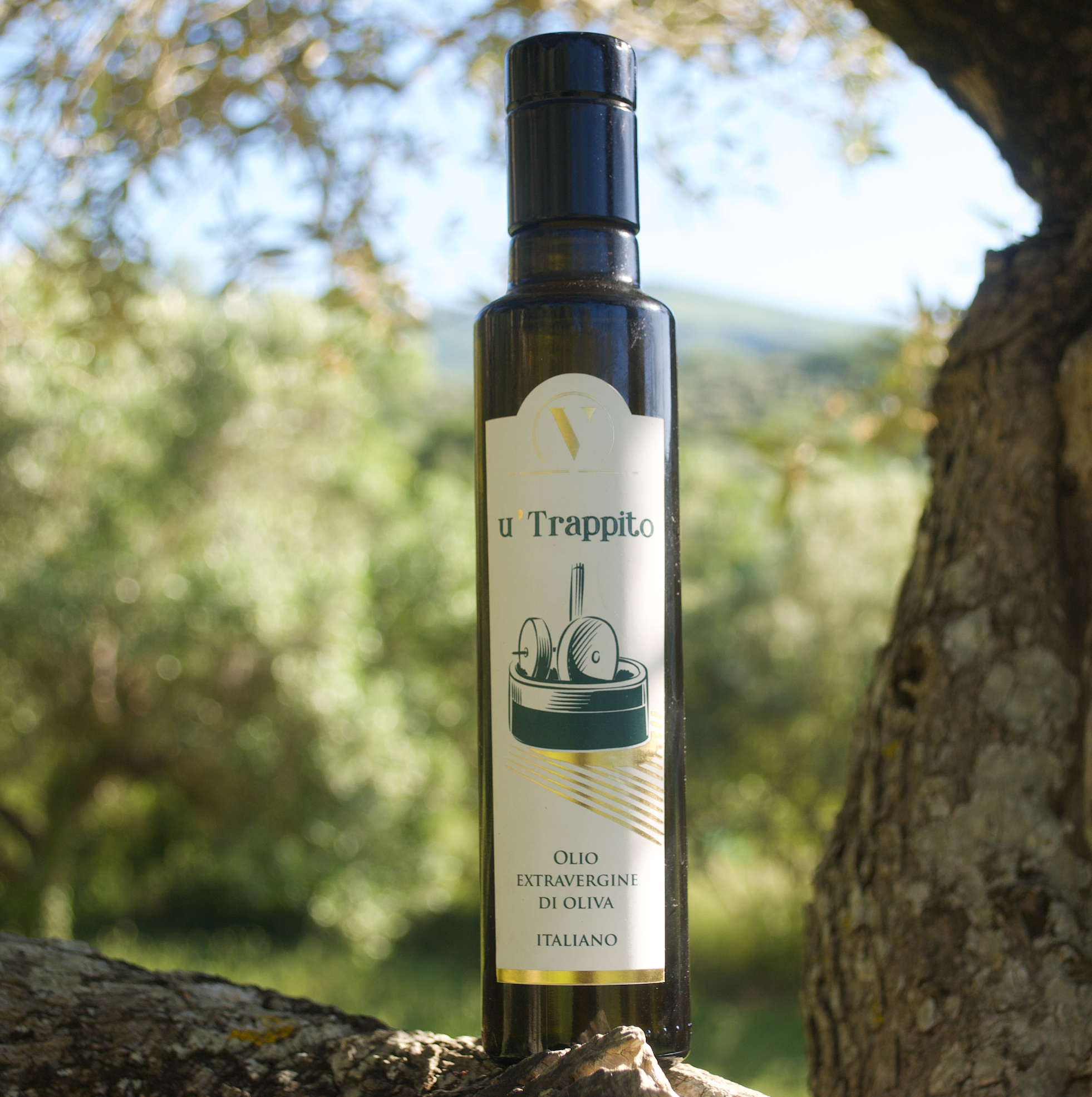 Olio ù trappito